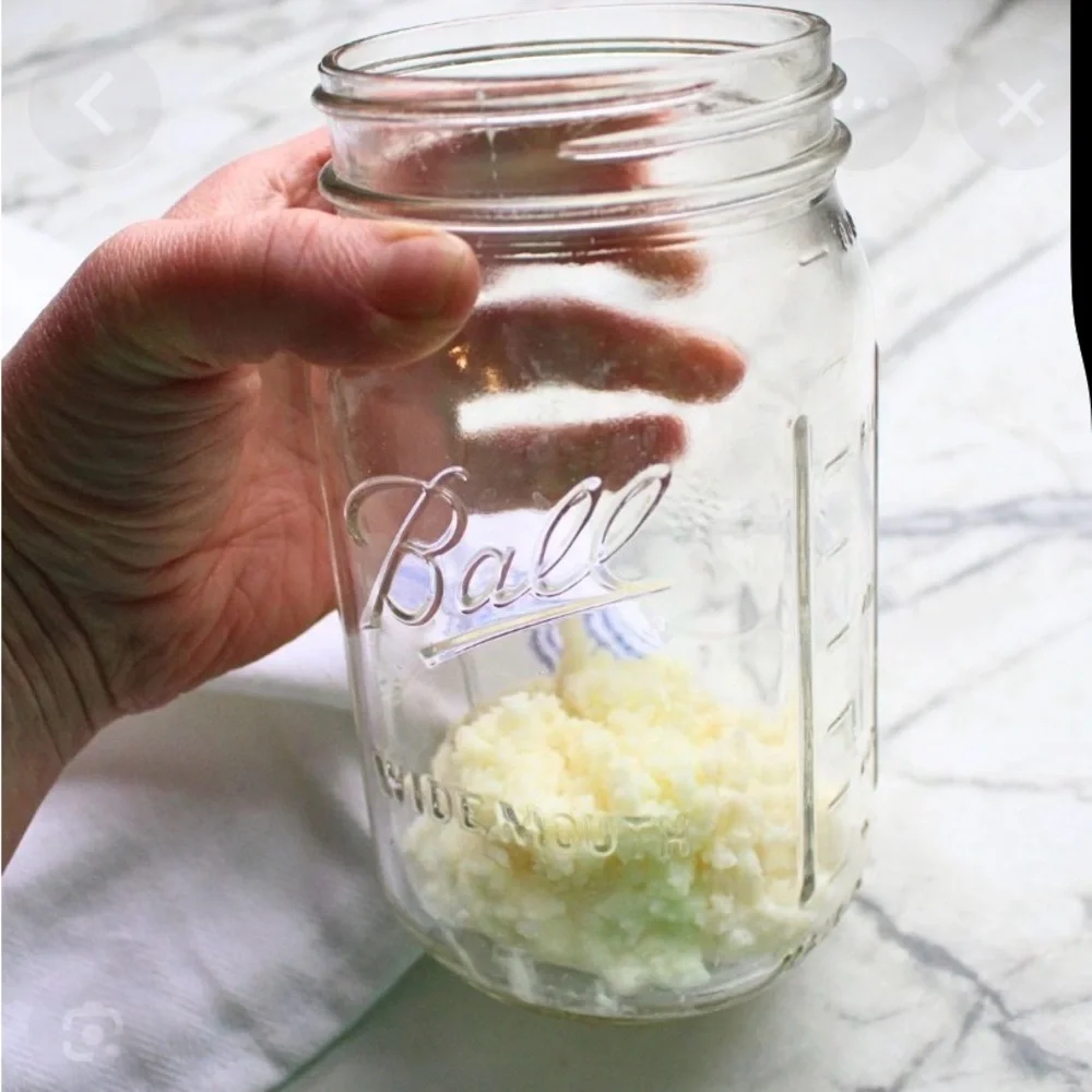 5 SPOONS ORGANIC MILK KEFIR GRAINS HIGH PROBIOTIC HEALING FOOD FITNESS NUTRITION